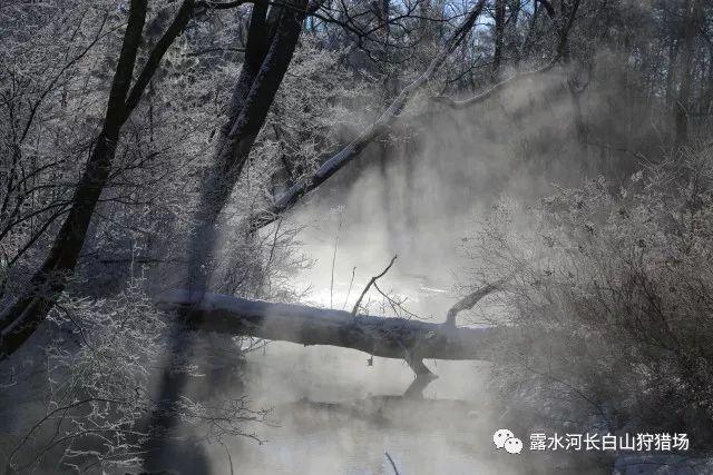 李湘携女儿王诗龄参与杂志大片拍摄