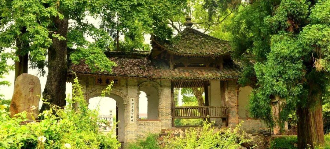 植物大战僵尸2