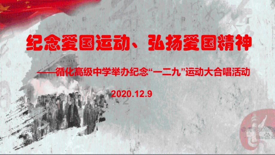 小猫钓鱼正版下载中文版