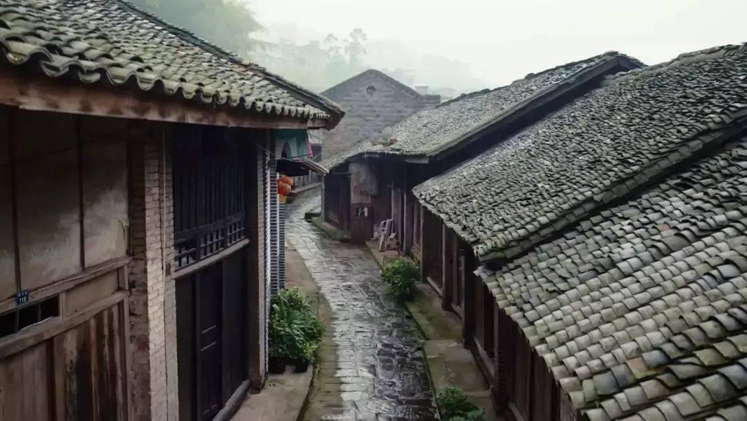 新乡化纤：预计2023年全年亏损，净利润同比增90%至93%